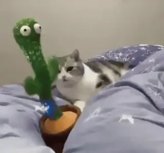 😻 cat, cactus, toy, dancing, pet, animal, funny telegram sticker