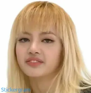 meme straykids telegram stickers