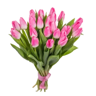 🌹 цветы, тюльпаны, розовый, букет, цветочный, природа, весна whatsapp sticker