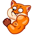 💪 fuchs, tier, muskel, cartoon, lustig, ausdruck telegram sticker