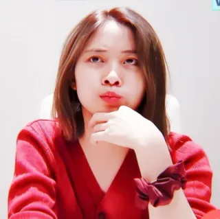 🥺 person, woman, portrait, face, red, scrunchie, sweater telegram sticker