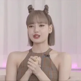 🦔 whatsapp sticker