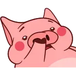🐽