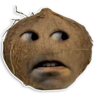 👽 Annoying Orange frutta, divertente, cocco, fastidioso, arancia, meme telegram sticker