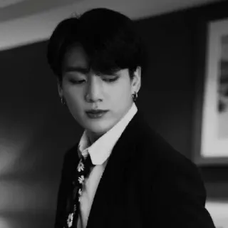 🕷 Jungkook kpop, piosenkarz, idol, muzyka, portret, czarno-białe, koreański telegram sticker