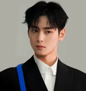 💙 Cha Eun-woo 俳優, K-POP, 歌手, イケメン, 韓国, Astro telegram sticker
