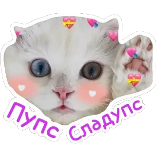 🍭 ПУПС СЛАДУПС cat, sticker, cute, kitten, heart, russian telegram sticker