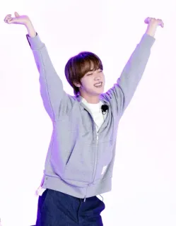 🙌 Jin K-pop, Idole, Chanteur, Célébrité, Divertissement, Musique telegram sticker