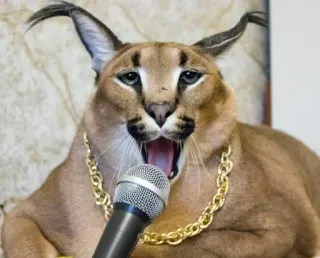 👨‍🎤 Floppa caracal, cat, microphone, rapper, meme, big floppa telegram sticker