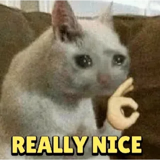 🥺 REALLY NICE kat, meme, ok, leuk, dier, huilen telegram sticker