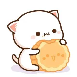 🐱 chat, cookie, mignon, kawaii, dessin animé, animal telegram sticker