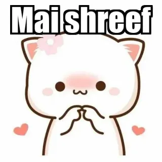 ⚜ Maishreef chat, dessin animé, mignon, kawaii, animal, pêche whatsapp sticker