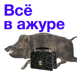 Kabanchikom whatsapp stickers