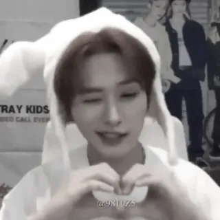 ❤️ @981025 kpop, bunny, cute, straykids, heart telegram sticker