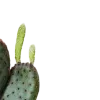 🤩