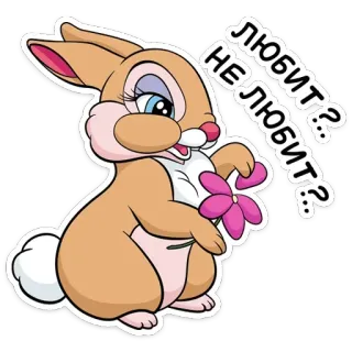 🌺 ЛЮБИТ? НЕ ЛЮБИТ? Dessin animé, Lapin, Fleur, Amour, Russe telegram sticker