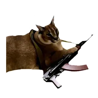 🔫 cat, gun, weapon, animal telegram sticker
