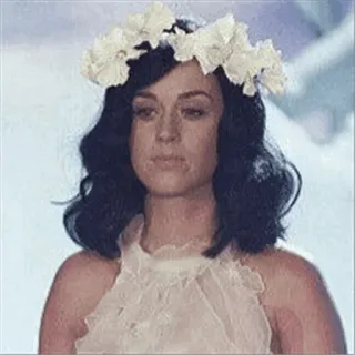 ✨ Katy Perry 歌手, 流行明星, 名人, 女性, 花环, 凯蒂·佩里 whatsapp sticker