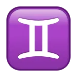 ♊️