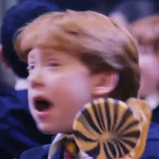 🦁 Ron Weasley Harry Potter ハリーポッター, ロン・ウィーズリー, 魔法使い, 魔法, ホグワーツ telegram sticker