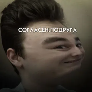 🙌 СОГЛАСЕН, ПОДРУГА Meme, Ritratto, Divertente, Accordo, Russo telegram sticker
