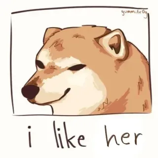 😳 i like her dog, meme, cute, animal, pet, shiba inu whatsapp sticker