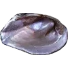 🫥