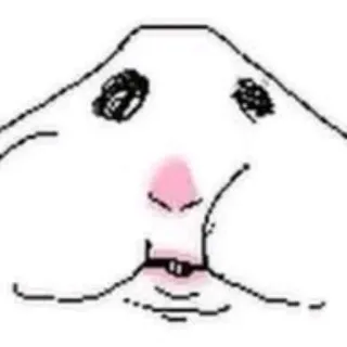 👄 Hamster telegram sticker