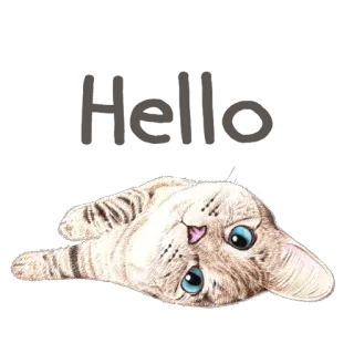 🤚 고양이, 귀여운, 동물, 애완동물, 새끼 고양이, 누워있는 telegram sticker