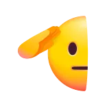 🫡