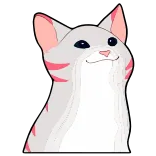 Popping cat @TgEmojis telegram emojis 😼