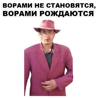 😑 ВОРАМИ НЕ СТАНОВЯТСЯ, ВОРАМИ РОЖДАЮТСЯ telegram sticker
