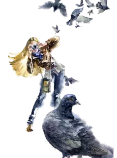 😁 mulher, pombos, fotografia, pássaros, viagem, câmera whatsapp sticker