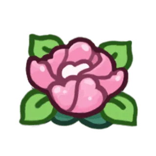 😕 Blume, Rose, Rosa, Natur, Pflanze, Blüte whatsapp sticker