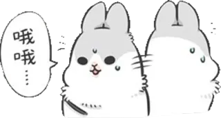 😍 哦哦…… rabbit, cute, animal, sticker telegram sticker