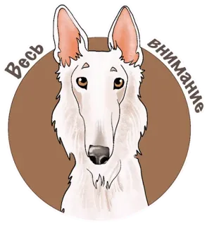 😶 Весь внимание chien, barzoï, dessin animé, autocollant, russe, texte telegram sticker