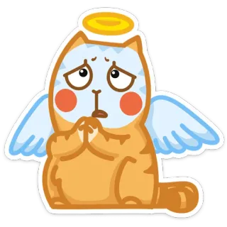 🥺 kot, anioł, słodki, halo, skrzydła, kreskówka telegram sticker