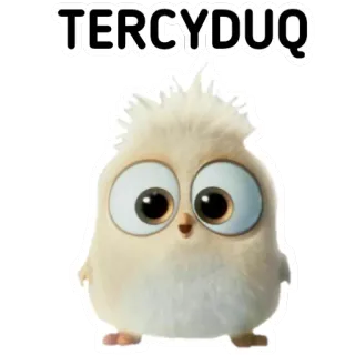 🙃 TERCYDUQ telegram sticker