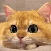 😉