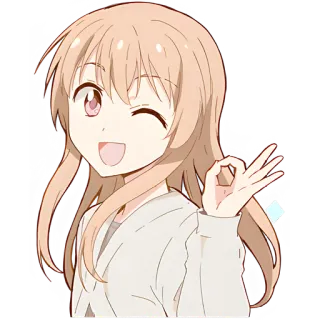 👌 애니메이션, 여자, 윙크, OK 사인, OK 제스처, 캐릭터, 만화, 귀여운 telegram sticker