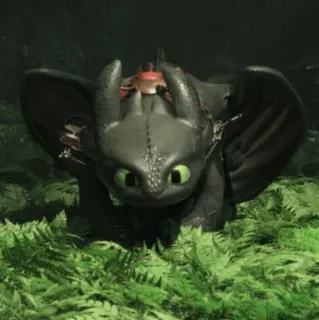 🤨 Toothless How to Train Your Dragon มังกร, สัตว์, น่ารัก, การ์ตูน, มังกรดำ whatsapp sticker