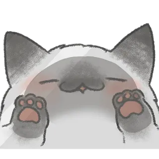 😘 kat, schattig, kitten, dier, huisdier, huiselijk, slaperig whatsapp sticker