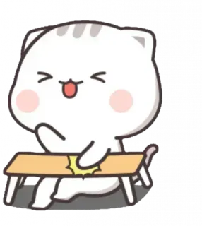 😹 whatsapp sticker