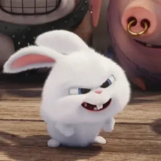 😠 Snowball The Secret Life of Pets coelho, coelhinho, animal de estimação, animal, branco, fofo, engraçado whatsapp sticker
