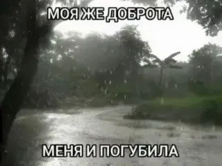 ☺️ МОЯ ЖЕ ДОБРОТА
МЕНЯ И ПОГУБИЛА russisch, text, regen, landschaft, natur whatsapp sticker