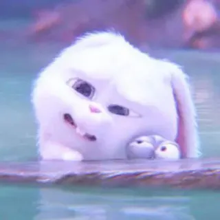 🐰 Snowball The Secret Life of Pets bunny, rabbit, animal, pet, cute, white, cartoon whatsapp sticker