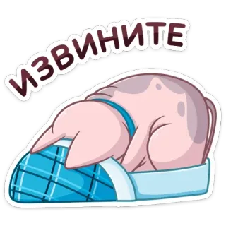 🥺 Извините scusa, mi dispiace, gatto, pantofola telegram sticker
