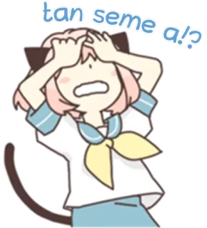 😫 tan seme a!? anime, cat ears, confused, cute, girl whatsapp sticker