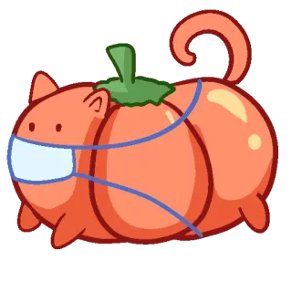 😷 chat, citrouille, masque, animal, mignon telegram sticker
