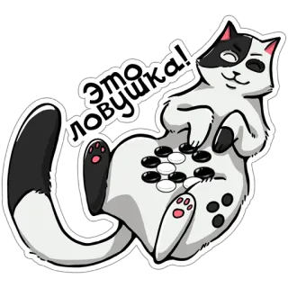 😉 ЭТО ЛОВУШКА! cat, animal, cute, russian, text, sticker telegram sticker